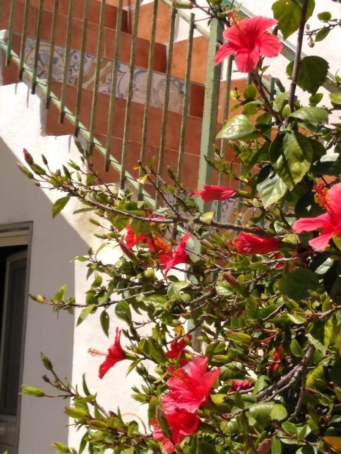 Casale Hibiscus Villa Santa Maria Del Focallo Exterior photo